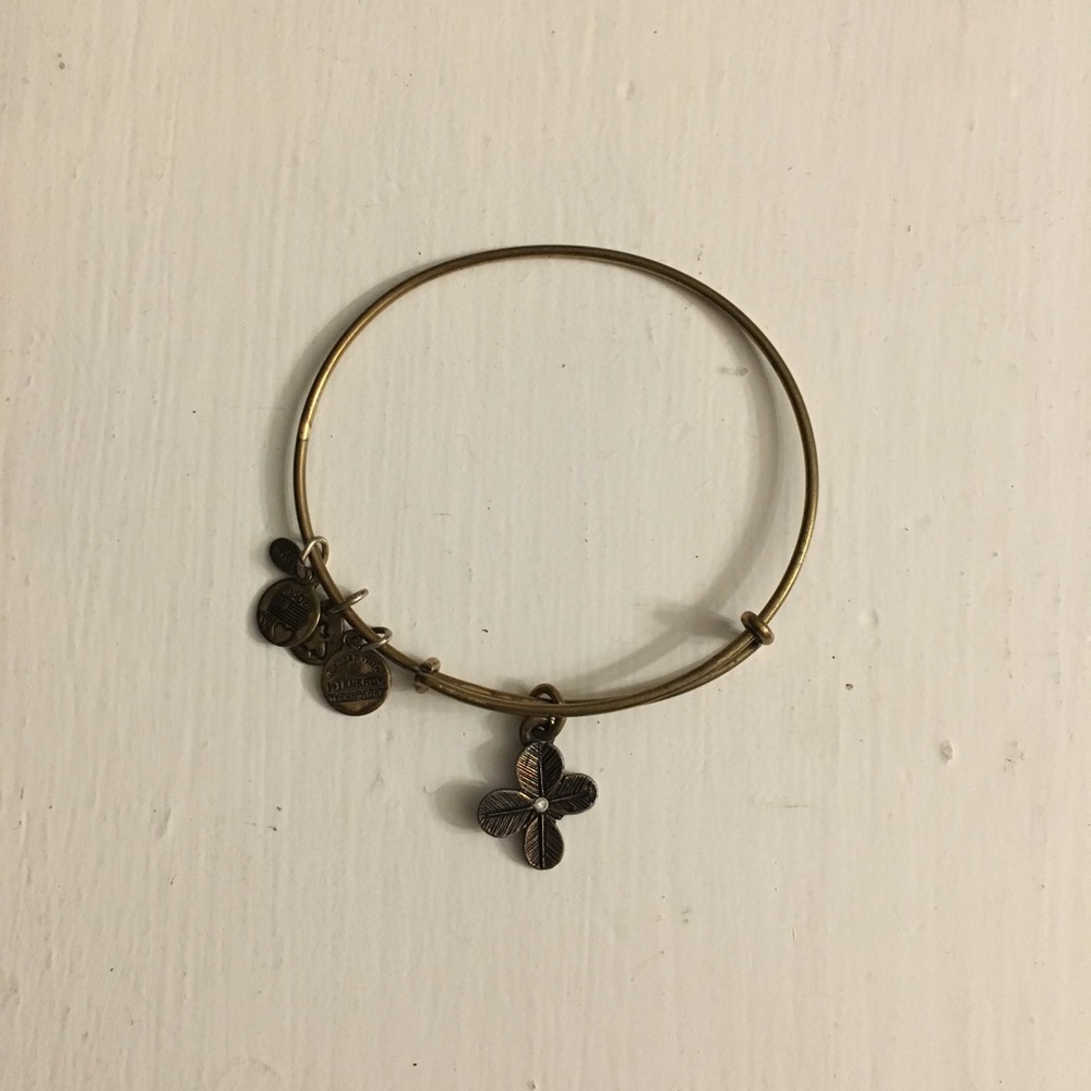 Alex and Ani Bracelet